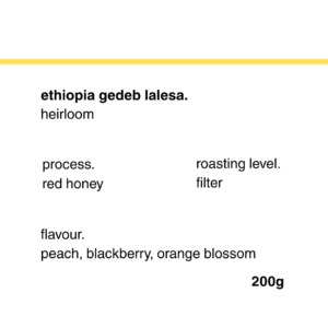 ethiopia gedeb lalesa