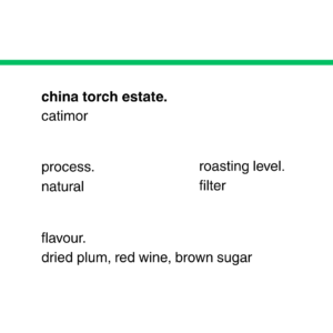 china-torch-estate