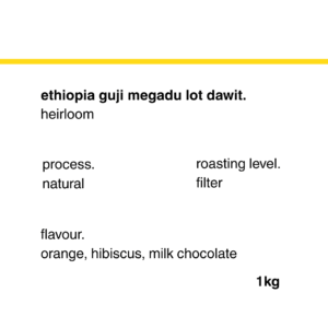 ethiopia guji megadu 1000g