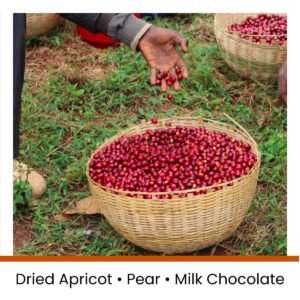 Ethiopia Lala Salama Decaf