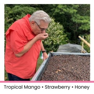 Panama-Chiriqui-Altieri-Geisha-Natural