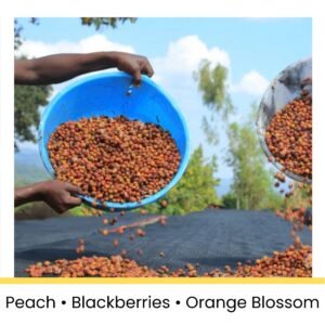 ethiopia_gedeb_lalesa_red_honey