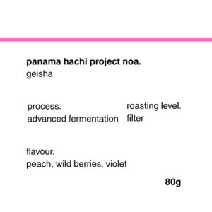 panama hachi project noa 80